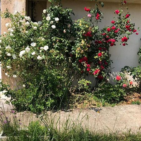 Apartmán Le Jardin Suspendu Rillieux-la-Pape Exteriér fotografie