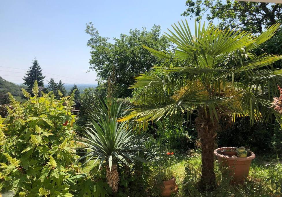 Apartmán Le Jardin Suspendu Rillieux-la-Pape Exteriér fotografie